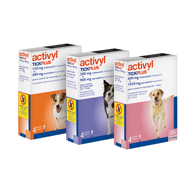 Activyl flea treatment for dogs clearance